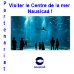 Bonne nouvelle pour les indivisuels : visiter le Centre de la mer  Nausicaá !